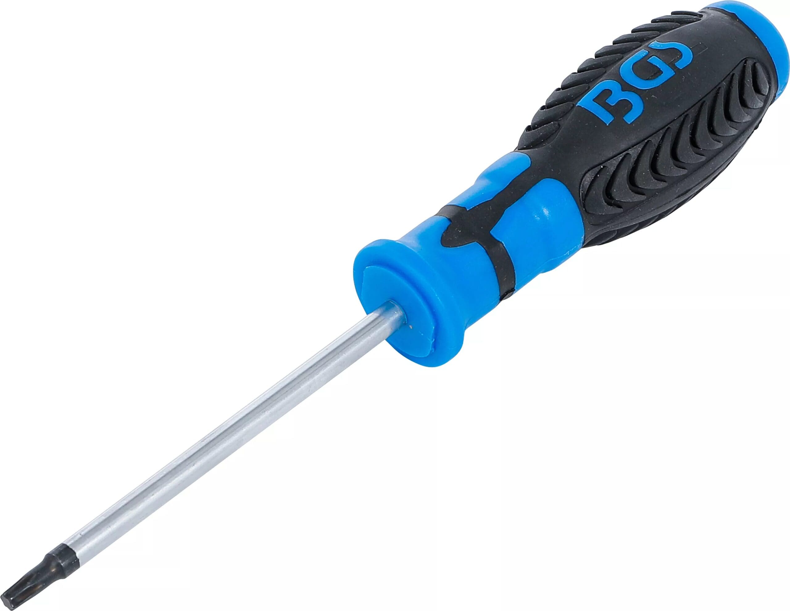 BGS technic Tournevis | profil T (pour Torx) T25 | longueur de la lame 100 mm