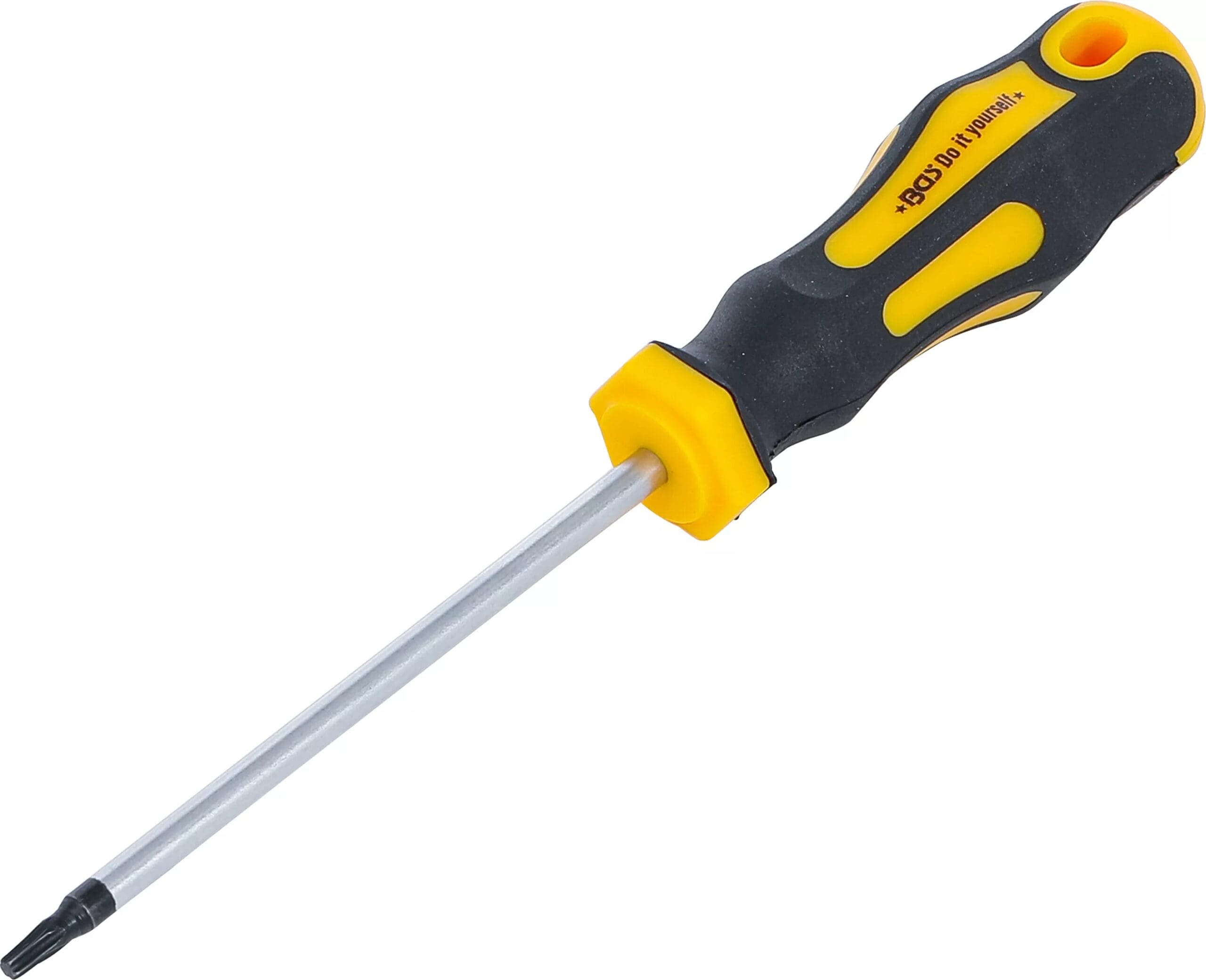 BGS technic Tournevis | profil T (pour Torx) T15 | longueur de la lame 100 mm