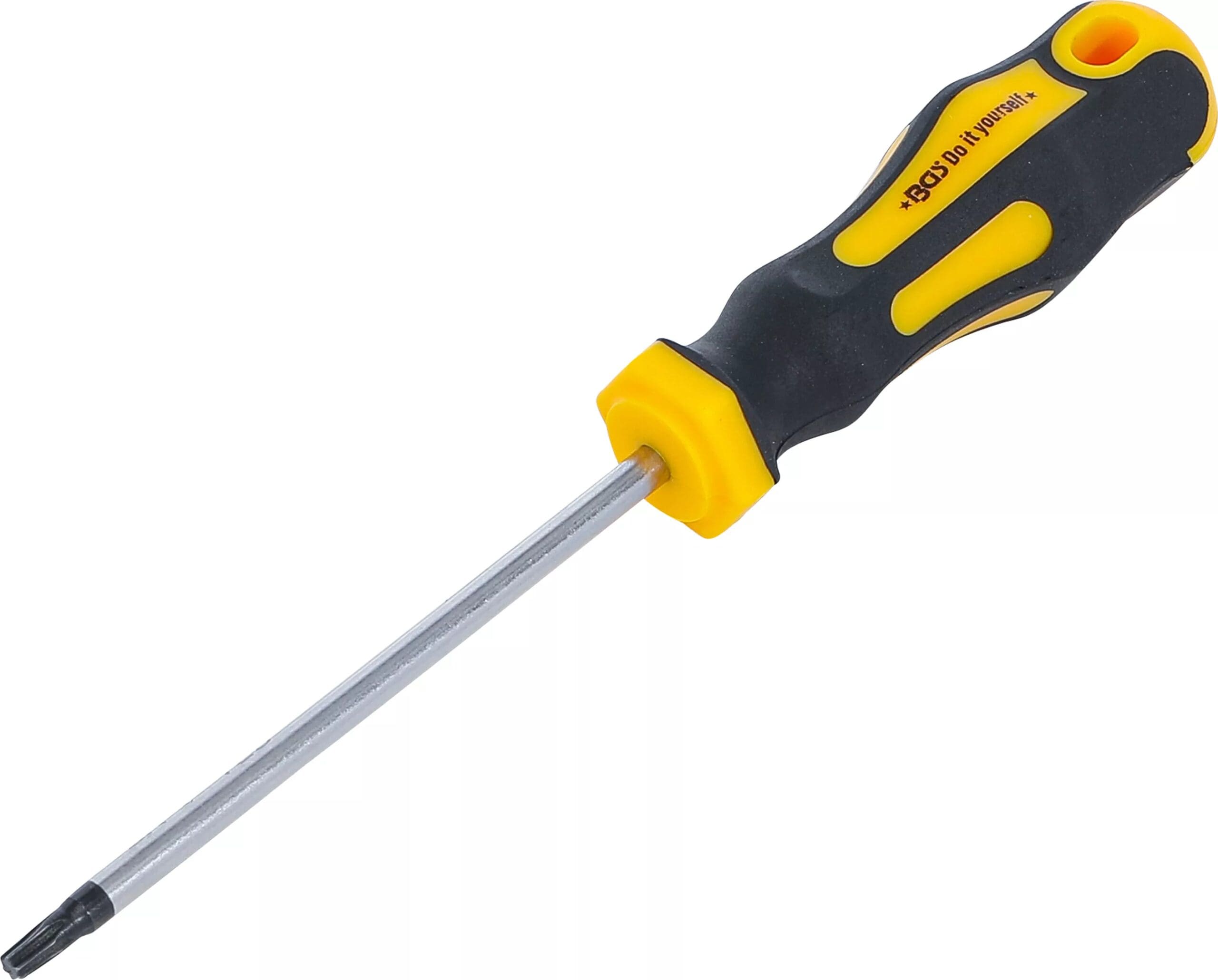 BGS technic Tournevis | profil T (pour Torx) T20 | longueur de la lame 100 mm