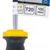 BGS technic Tournevis | profil T (pour Torx) T20 | longueur de la lame 100 mm