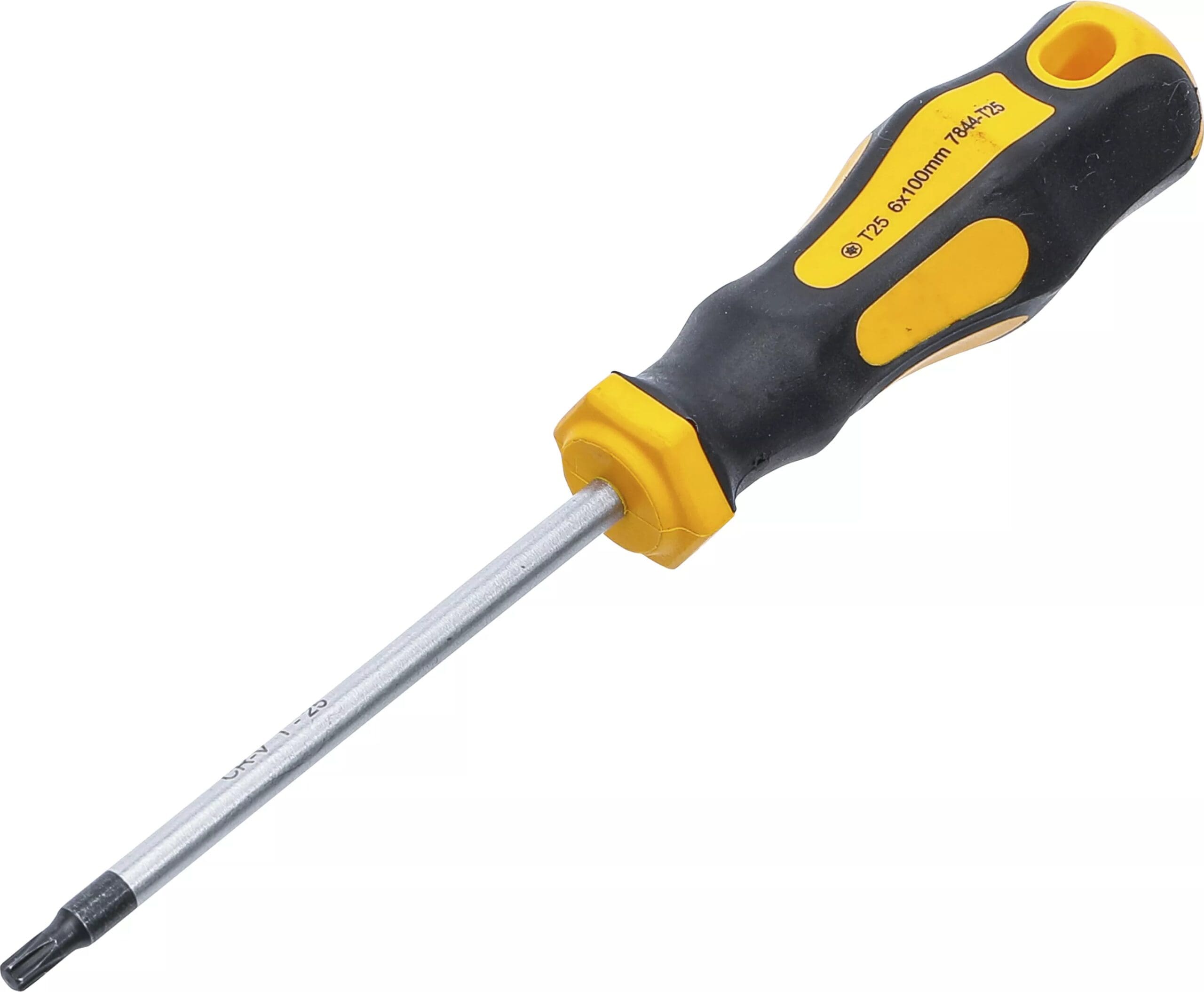 BGS technic Tournevis | profil T (pour Torx) T25 | longueur de la lame 100 mm