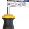 BGS technic Tournevis | profil T (pour Torx) T25 | longueur de la lame 100 mm