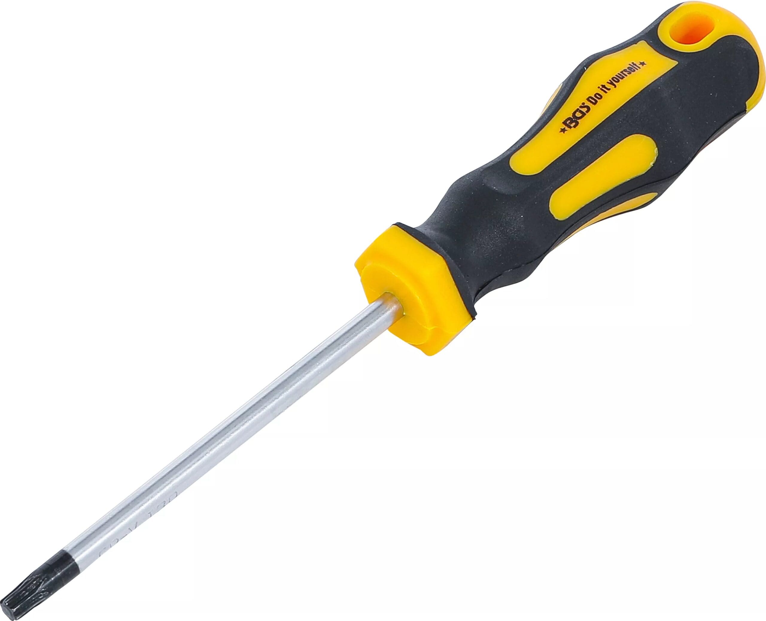 BGS technic Tournevis | profil T (pour Torx) T30 | longueur de la lame 100 mm