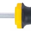 BGS technic Tournevis | profil T (pour Torx) T30 | longueur de la lame 100 mm
