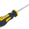 BGS technic Tournevis | profil T (pour Torx) T30 | longueur de la lame 100 mm