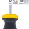 BGS technic Tournevis | profil T (pour Torx) T30 | longueur de la lame 100 mm
