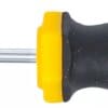 BGS technic Tournevis | profil T (pour Torx) T6 | longueur de la lame 60 mm