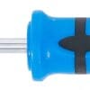 BGS technic Tournevis profil T (pour Torx) avec perçage T20 | longueur de la lame 80 mm