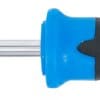 BGS technic Tournevis profil T (pour Torx) avec perçage T30 | longueur de la lame 100 mm