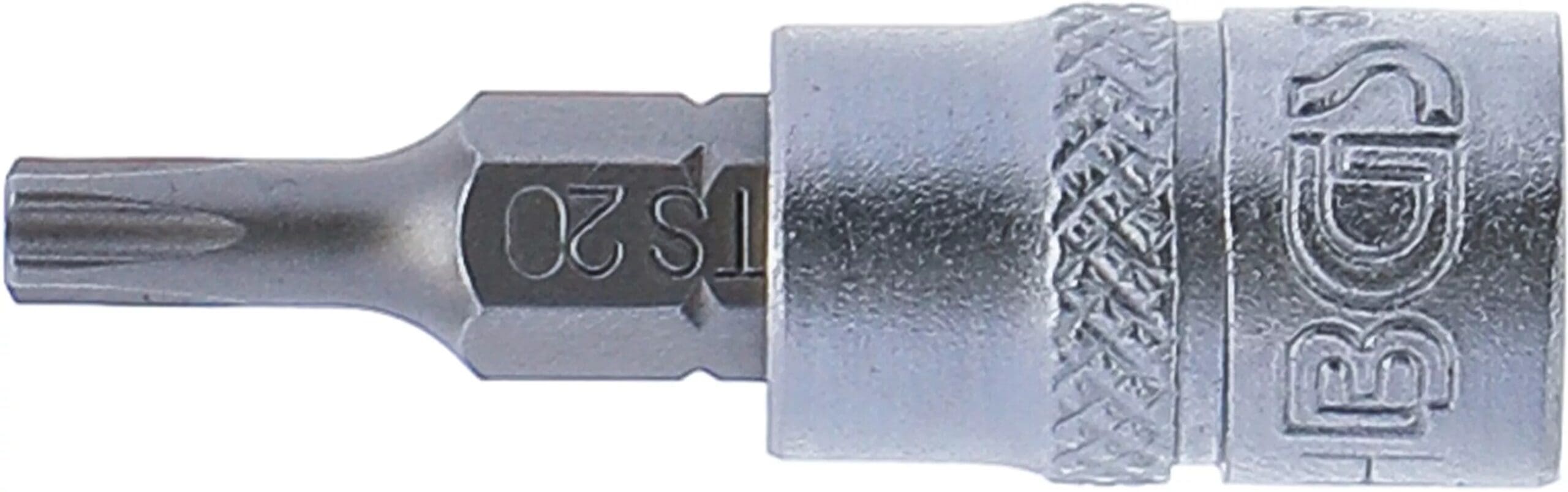 3 mm (1/4") | profil TS (pour Torx Plus) avec perçage TS20 3 mm (1/4") | profil TS (pour Torx Plus) avec perçage TS20
