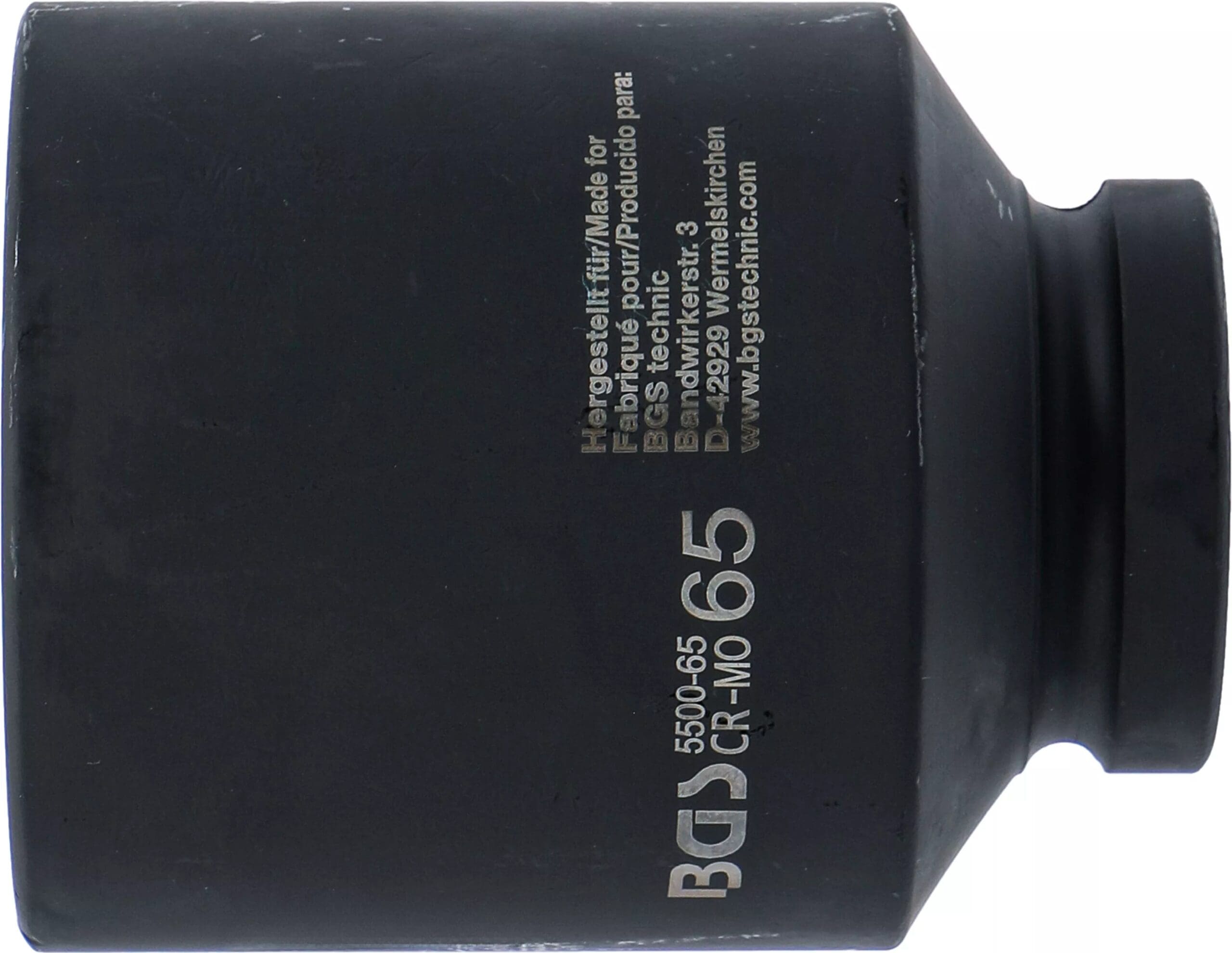 longue | 25 mm (1") | 65 mm longue | 25 mm (1") | 65 mm